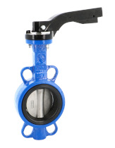 Vannes  papillon oreilles de centrage